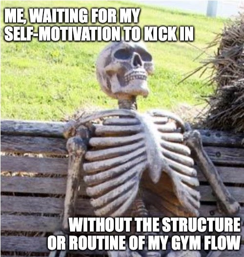 meme skeleton on bench waiting for motivation to work out without gym 