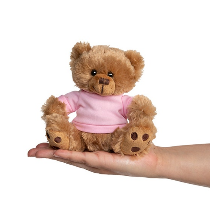 "Fierce" Teddy: 6" teddy bear wearing Fierce Gear OCR logo tee