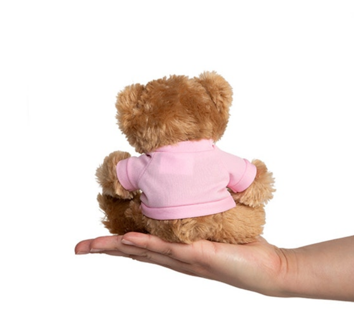 "Fierce" Teddy: 6" teddy bear wearing Fierce Gear OCR logo tee